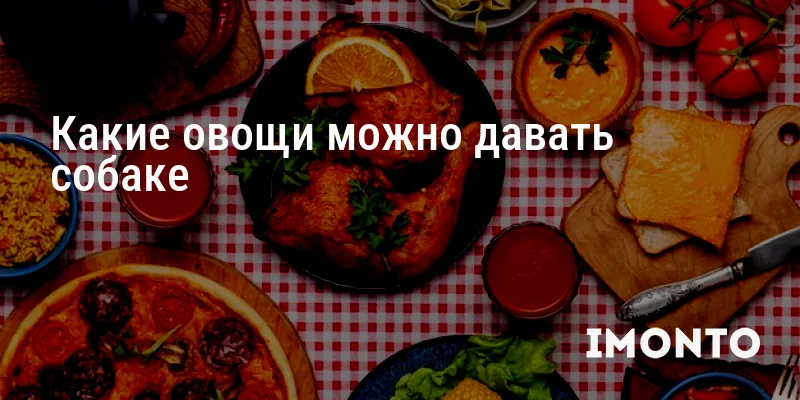 Какие овощи можно давать собаке