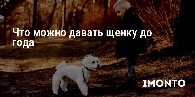 Что можно давать щенку до года