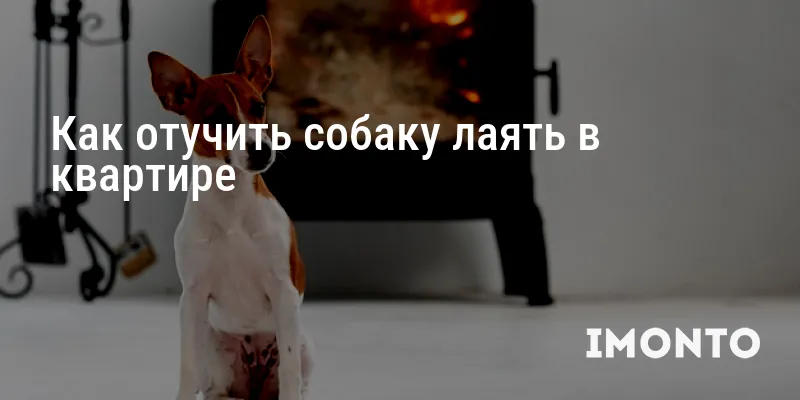 Как отучить собаку лаять в квартире