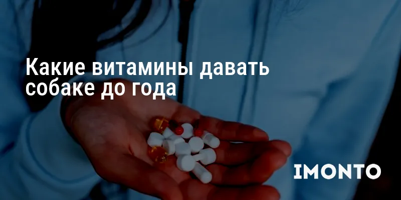 Какие витамины давать собаке до года