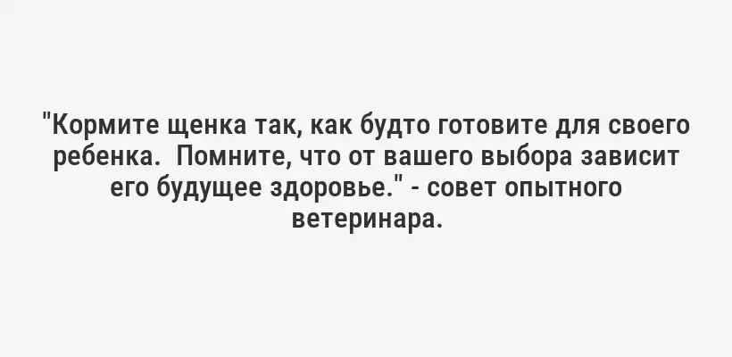 "Кормите щенка так, как будто готовите для своего ребенка.  Помните, что от вашего выбора зависит его будущее здоровье." - совет опытного ветеринара.