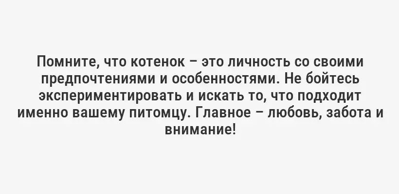 Помните, что котенок – это личность со своими предпочтениями и особенностями. Не бойтесь экспериментировать и искать то, что подходит именно вашему питомцу. Главное – любовь, забота и внимание!