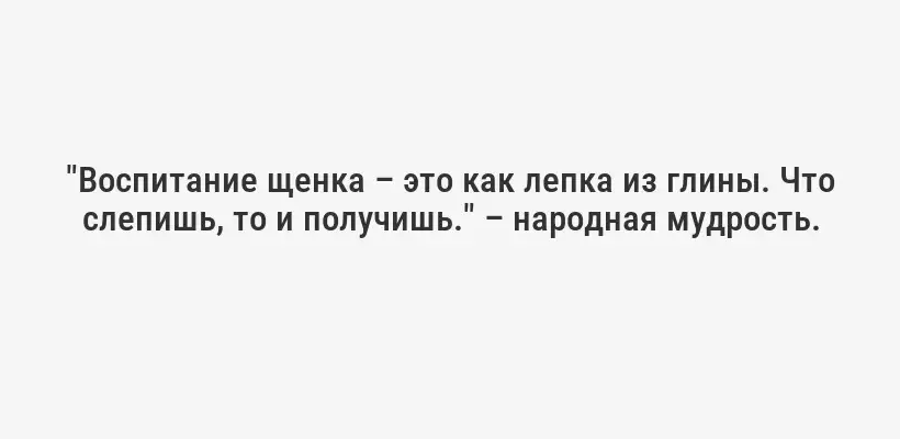 "Воспитание щенка – это как лепка из глины. Что слепишь, то и получишь." – народная мудрость.
