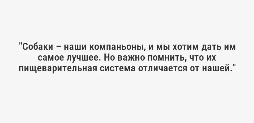 "Собаки – наши компаньоны, и мы хотим дать им самое лучшее. Но важно помнить, что их пищеварительная система отличается от нашей."