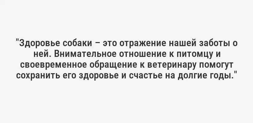 "Здоровье собаки – это отражение нашей заботы о ней. Внимательное отношение к питомцу и своевременное обращение к ветеринару помогут сохранить его здоровье и счастье на долгие годы."